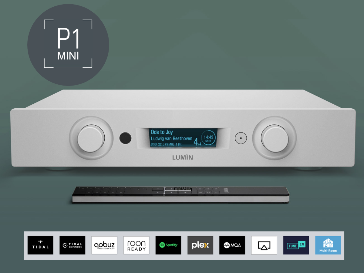 Lumin P1 mini