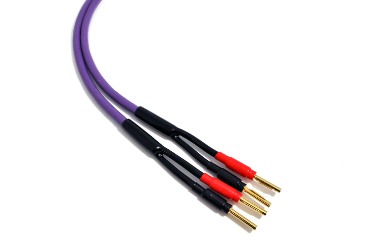 Melodika Purple MDSC4025 - test, recenzja, opinie