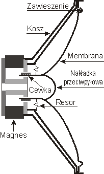 Konstrukcja głośnika średnio-niskotonowego.
