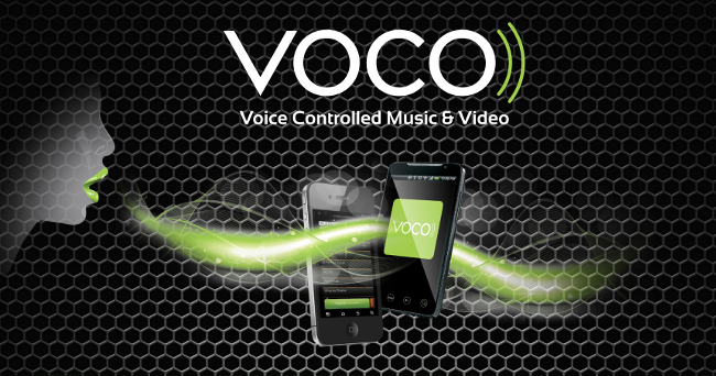 Voco V-Zone+